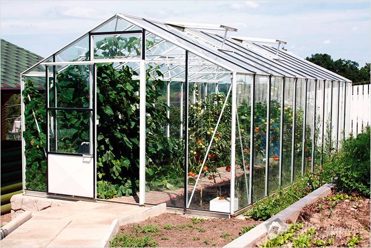 Как самостоятельно построить теплицу из стекла