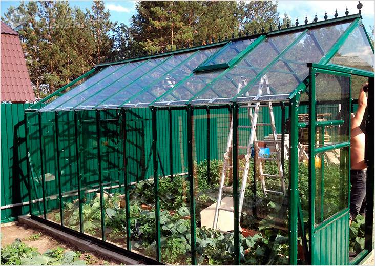 Как самостоятельно построить теплицу из стекла