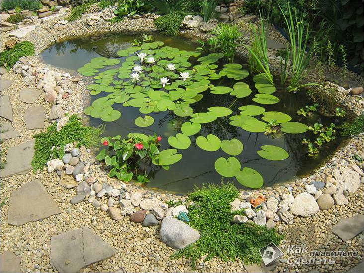 Как самостоятельно сделать пруд на даче