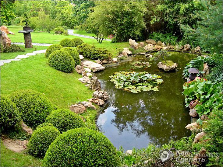 Как самостоятельно сделать пруд на даче