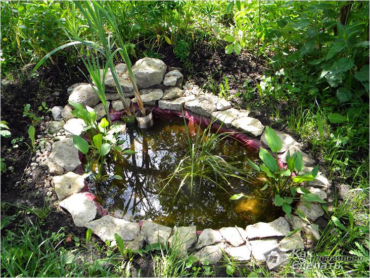 Как самостоятельно сделать пруд на даче