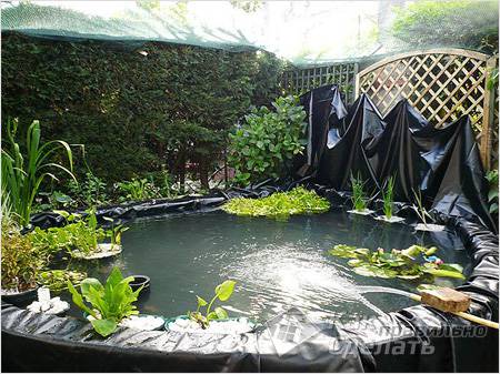 Как самостоятельно сделать пруд на даче