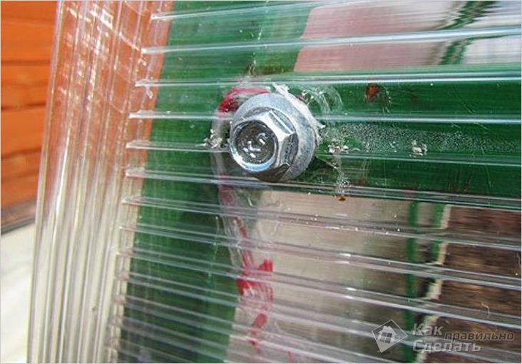 Как самостоятельно сделать теплицу из поликарбоната: пошаговое руководство