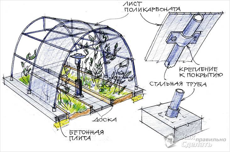Как самостоятельно сделать теплицу из поликарбоната: пошаговое руководство