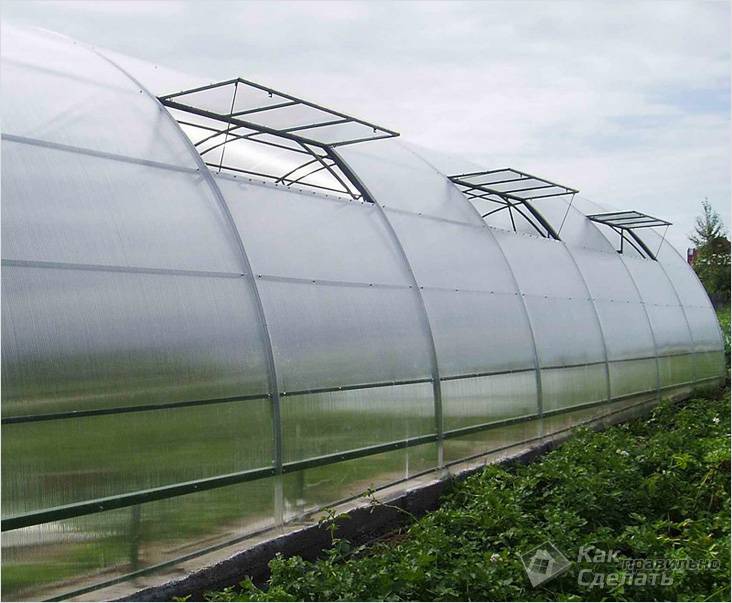 Как самостоятельно сделать теплицу из поликарбоната: пошаговое руководство