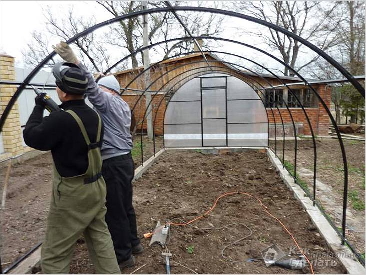 Как самостоятельно сделать теплицу из поликарбоната: пошаговое руководство