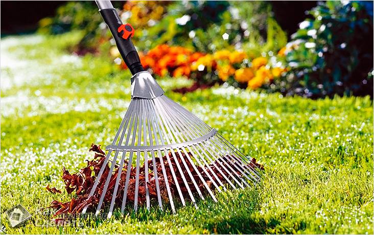 Как ухаживать за газоном