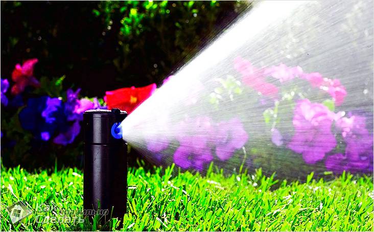 Как ухаживать за газоном