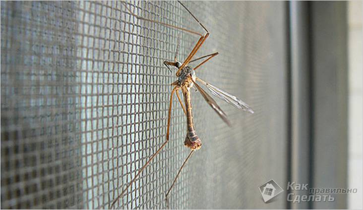 Как замерить москитную сетку