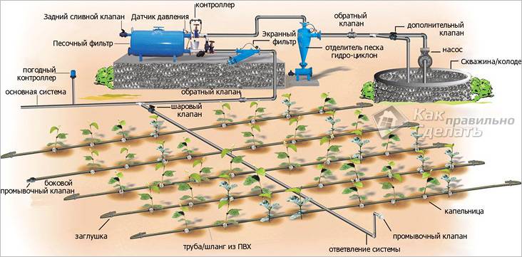 Капельный полив теплицы своими руками
