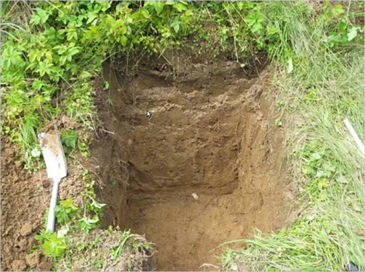 Коптильня холодного копчения своими руками