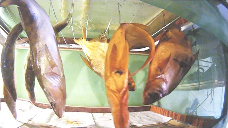 Коптильня холодного копчения своими руками