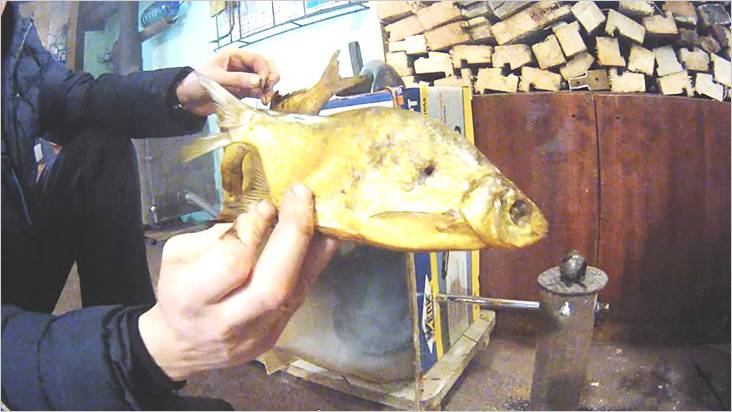 Коптильня холодного копчения своими руками