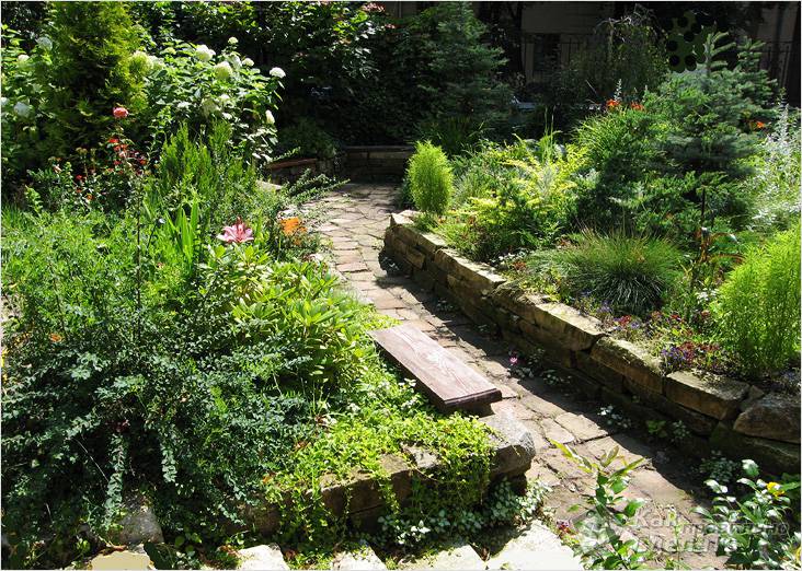 Ландшафтный дизайн: планирование и воплощение проекта