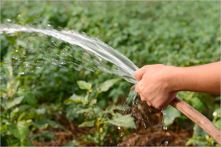 Насос для полива из бочки