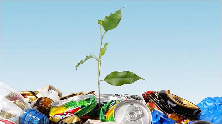 Необходимость получения паспорта на отходы и особенности процесса паспортизации