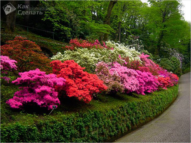 Подпорная стенка своими руками