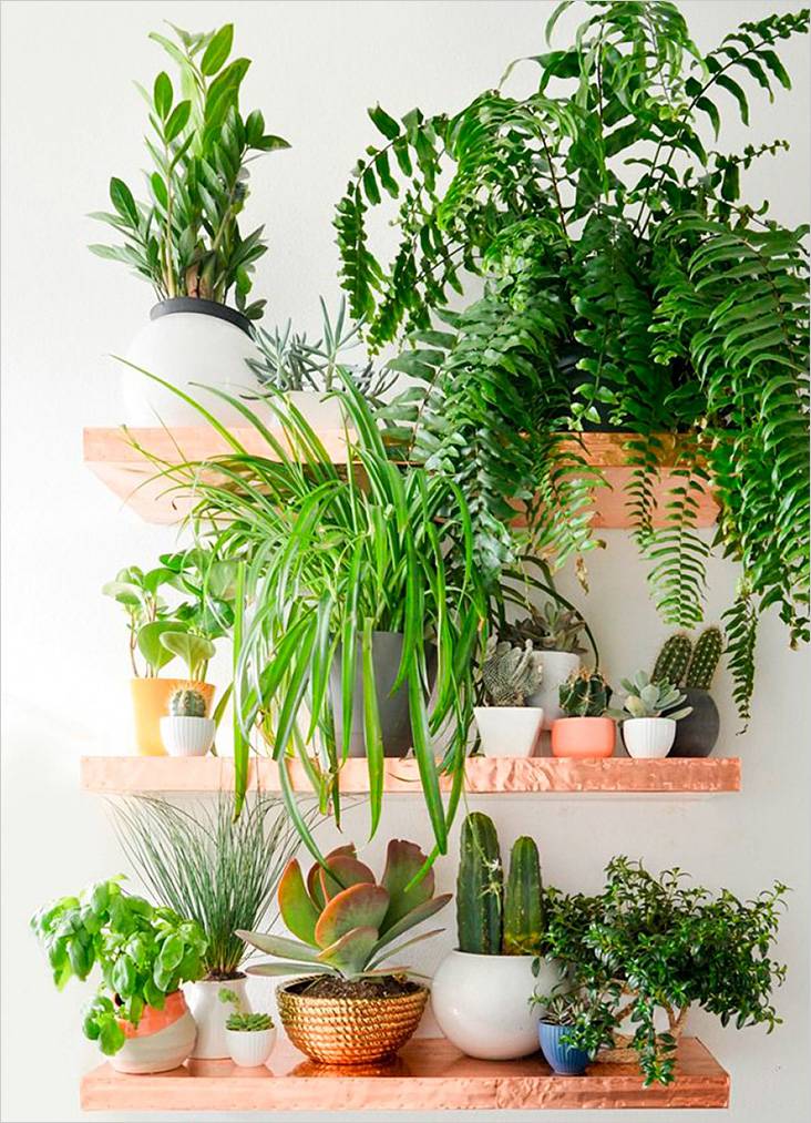 Полки на стену своими руками