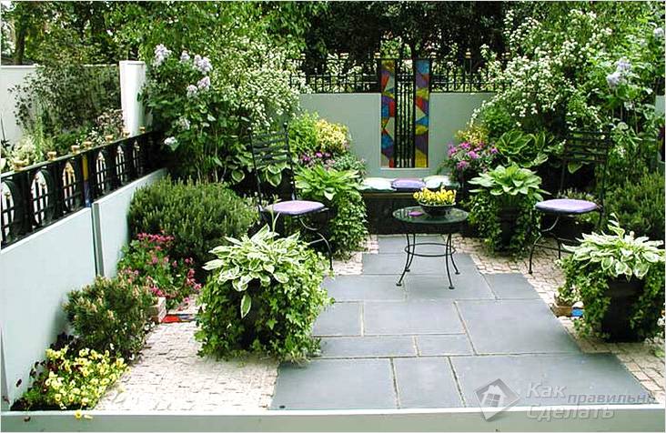 Приусадебный участок своими руками