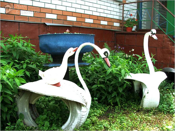 Приусадебный участок своими руками