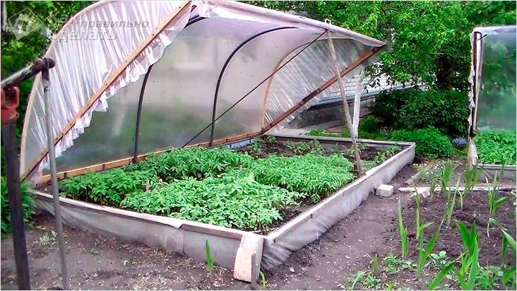 Теплица своими руками: поэтапная инструкция