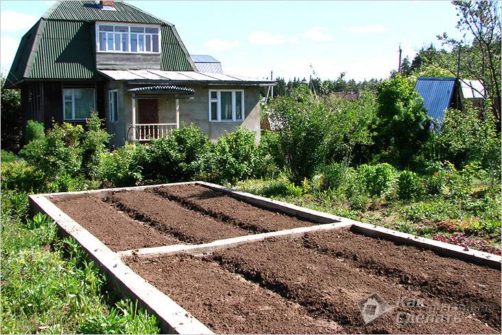 Теплица своими руками: поэтапная инструкция