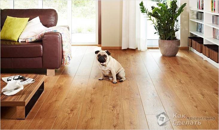 Уход за ламинатом в квартире: советы профессиональных домохозяек