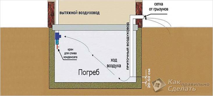 Утепление подвала дома своими руками