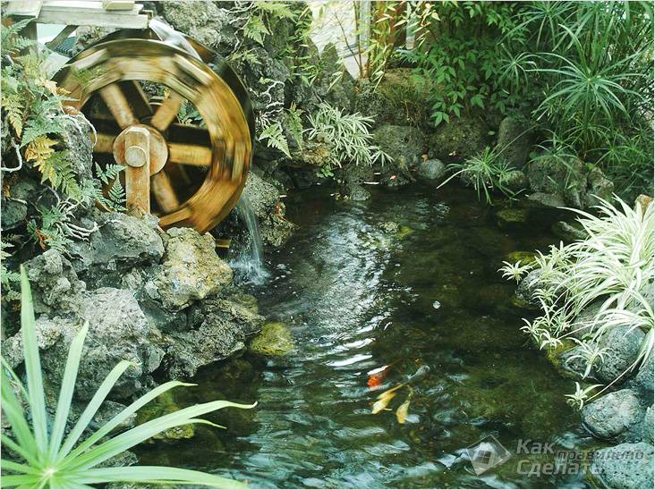 Водоем на дачном участке