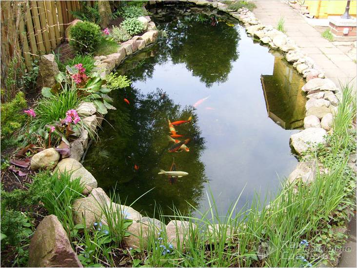 Водоем на дачном участке
