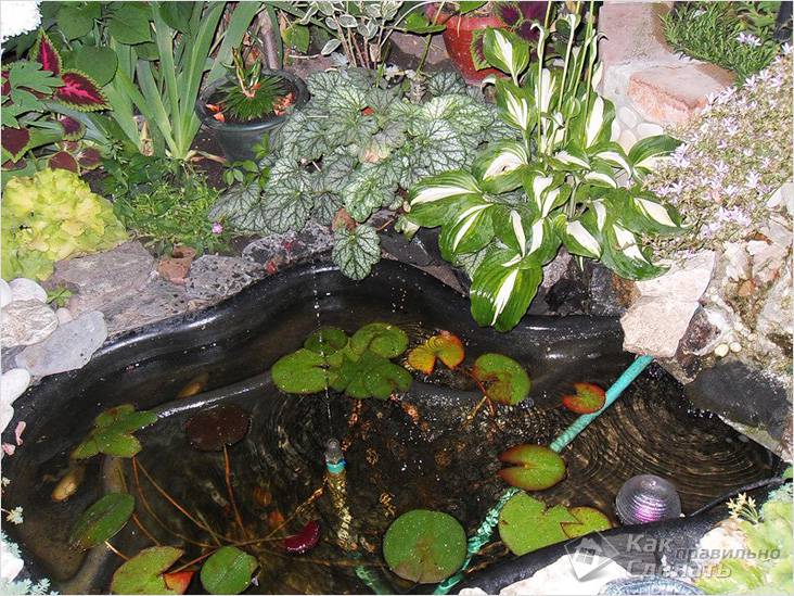 Водоем на дачном участке