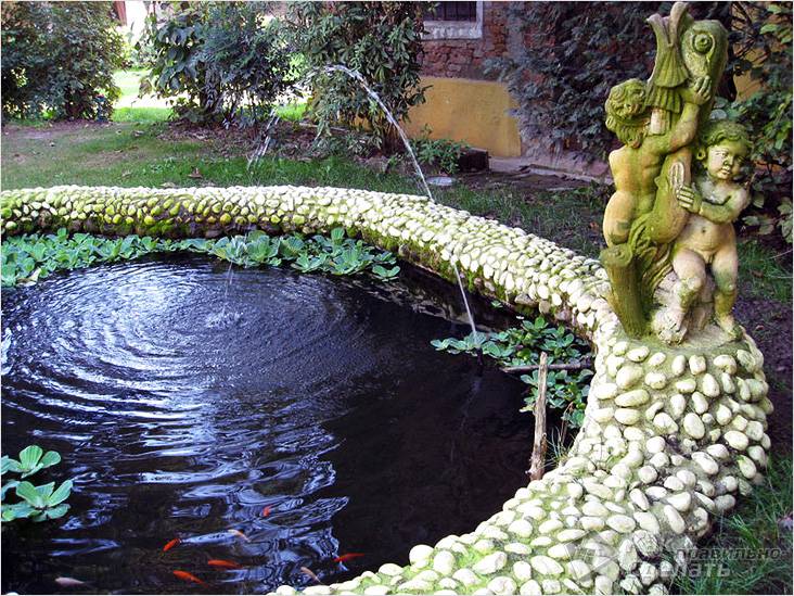Водоем на дачном участке