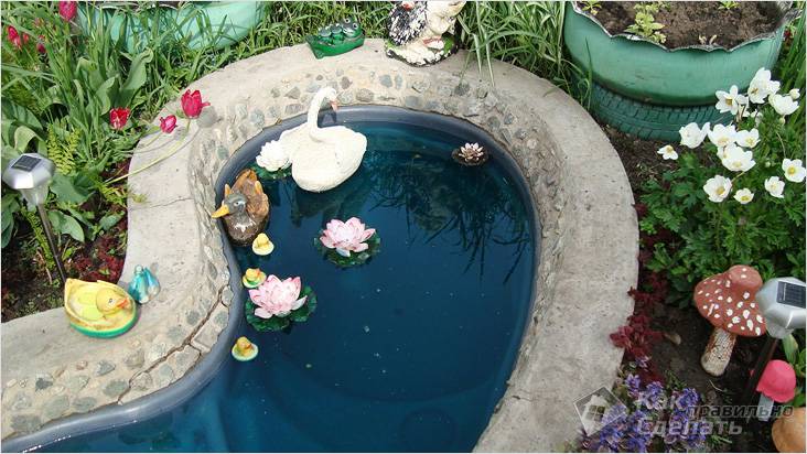 Водоем на дачном участке