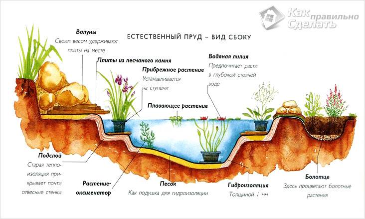 Водоем на дачном участке