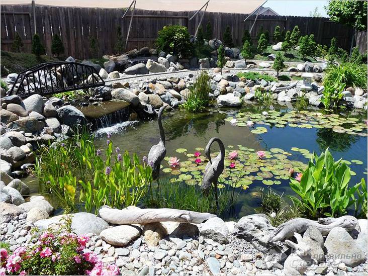 Водоем на дачном участке