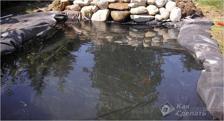 Водоем своими руками