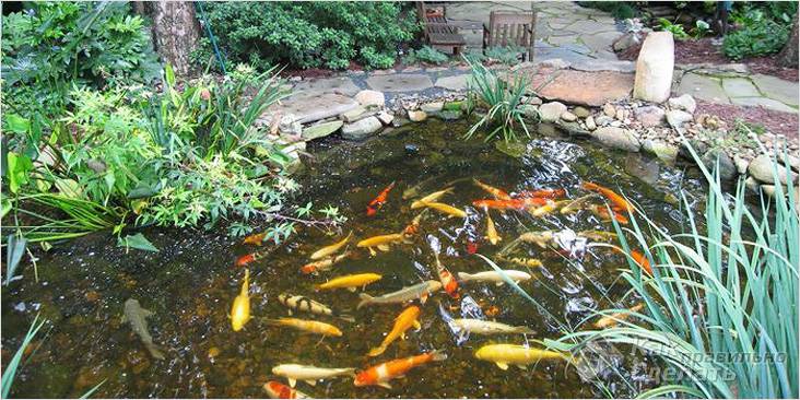 Водоем своими руками