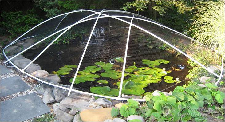 Водоем своими руками