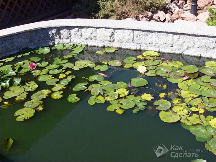 Водоем своими руками