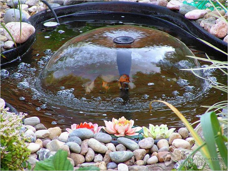 Водоем своими руками