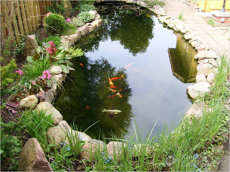 Водоем своими руками