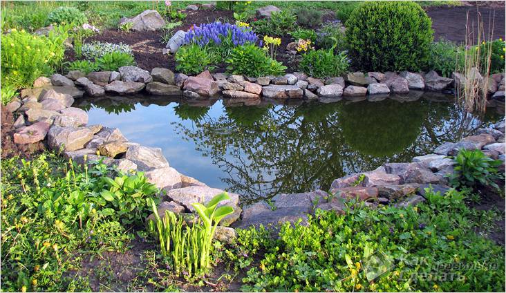 Водоем своими руками