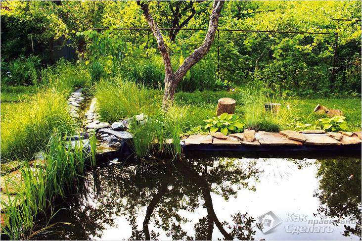 Водоем своими руками