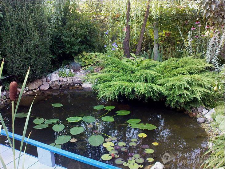 Водоем своими руками