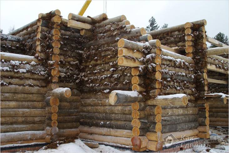 Заделка швов в деревянных домах