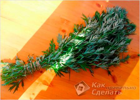 Заготовка веников для бани