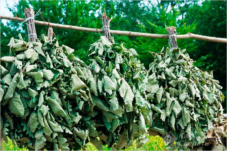 Заготовка веников для бани