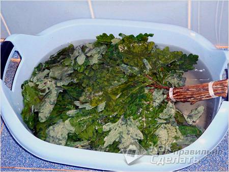 Заготовка веников для бани