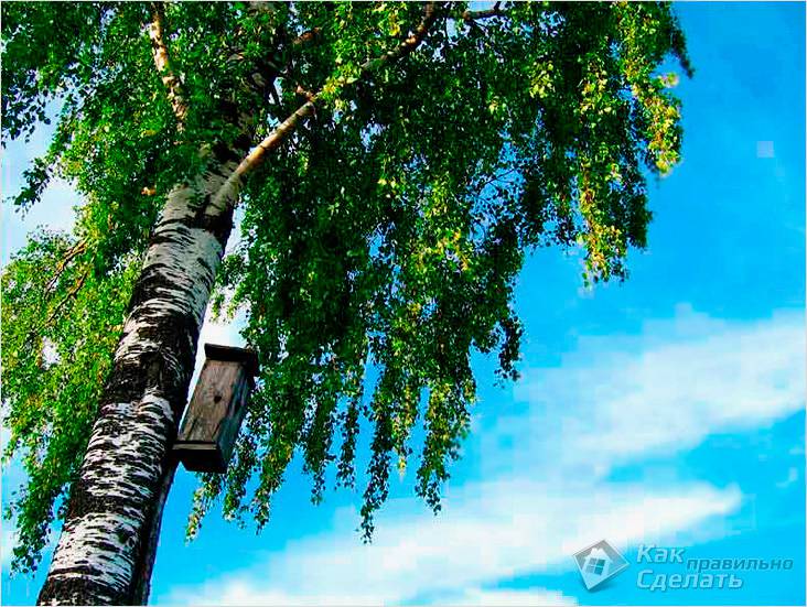 Заготовка веников для бани