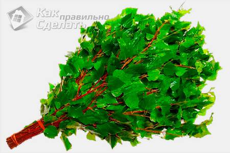 Заготовка веников для бани